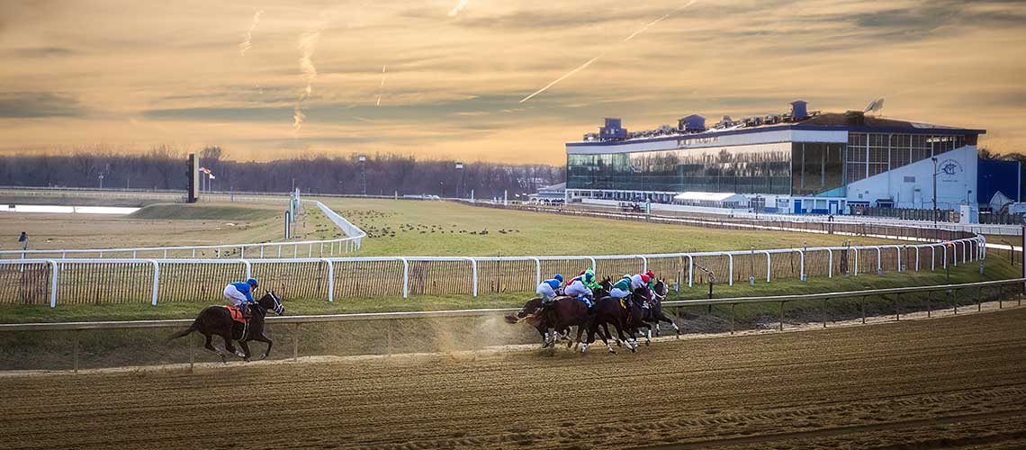 MJC-Laurel-Park-1