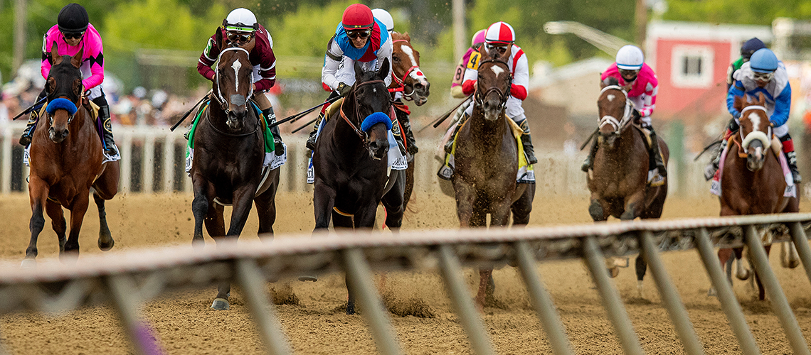 Preakness-Field-